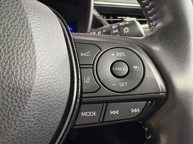 23565988