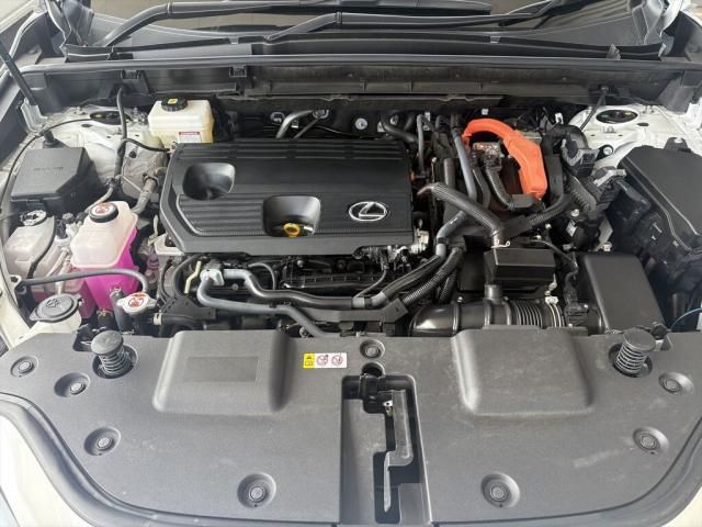23566277