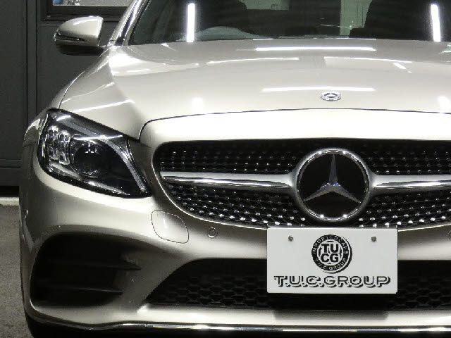 23590062