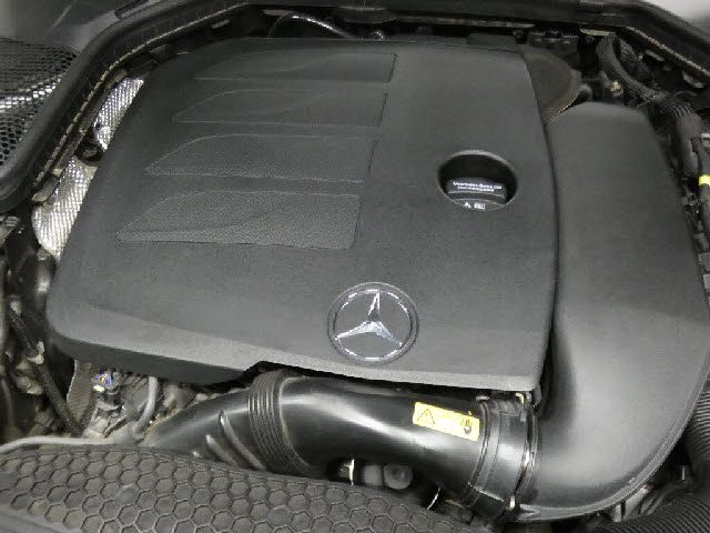 23590062