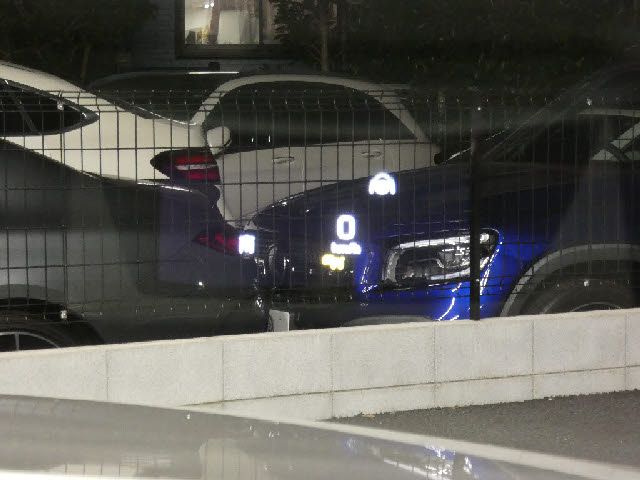 23590062