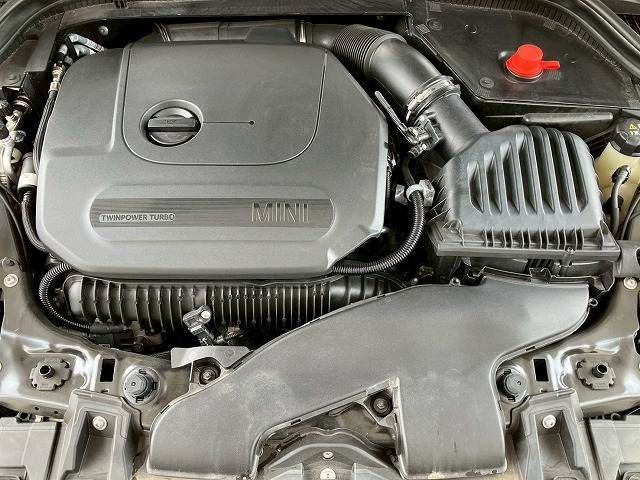 23661223