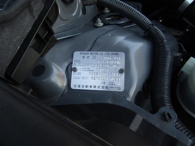 23665917