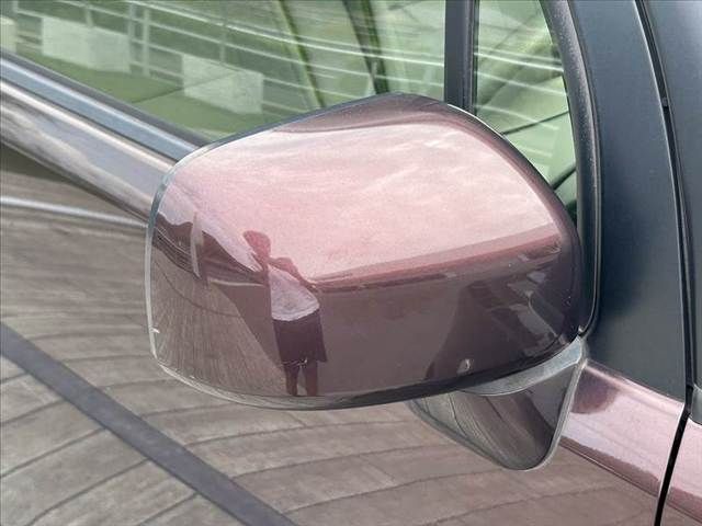 23665952