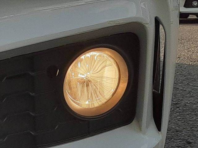 23765829