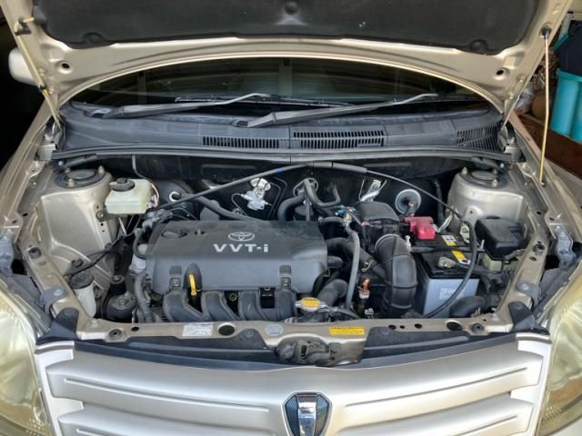 23766231