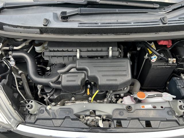 23850118