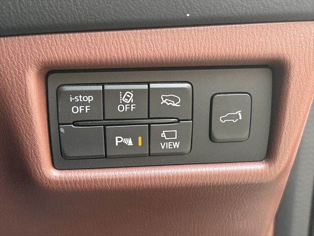 23865732