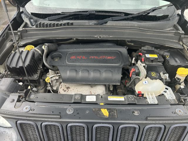 23880007