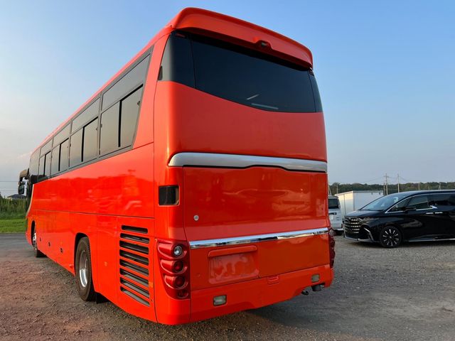 23950059