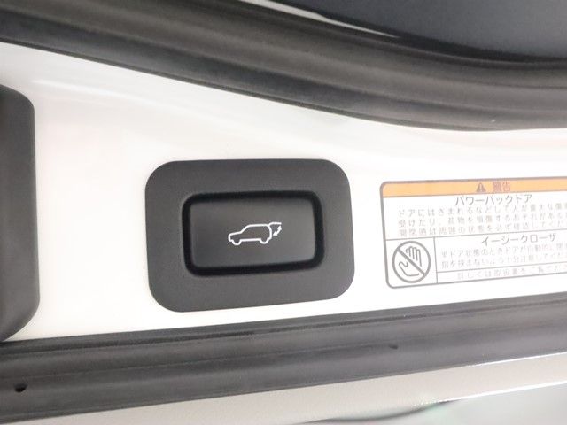 23950090