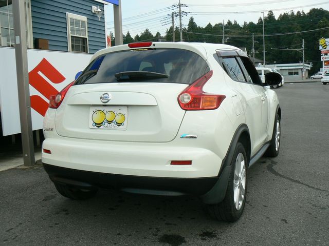 23950176