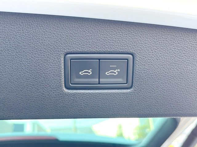23960296