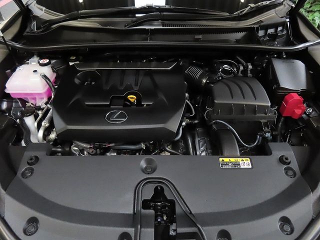 24060428