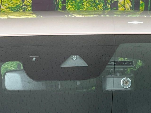 24061309