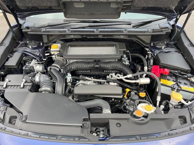 24062654