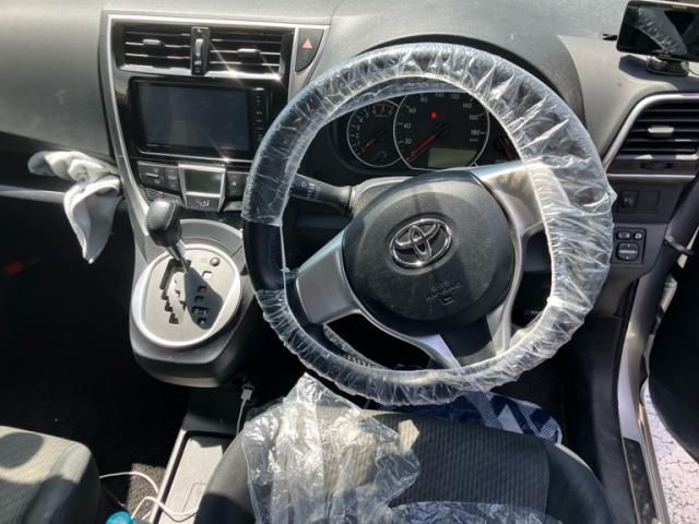 24065397