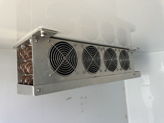 24065481