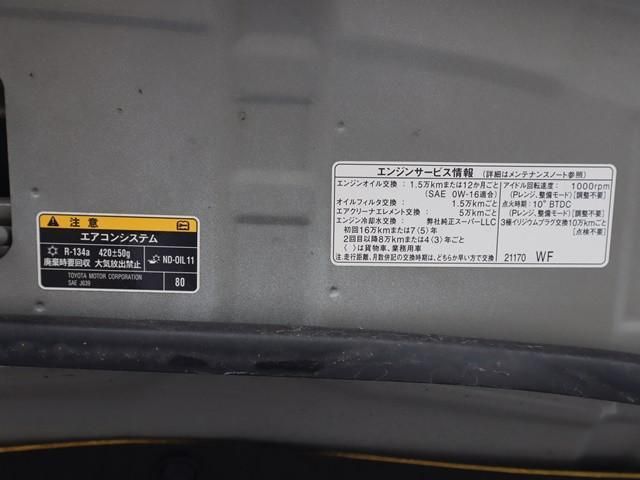 24066996