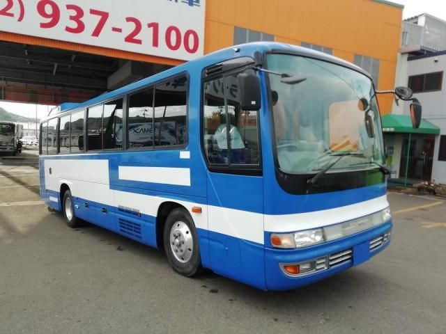 24069954