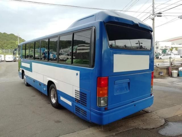24069954