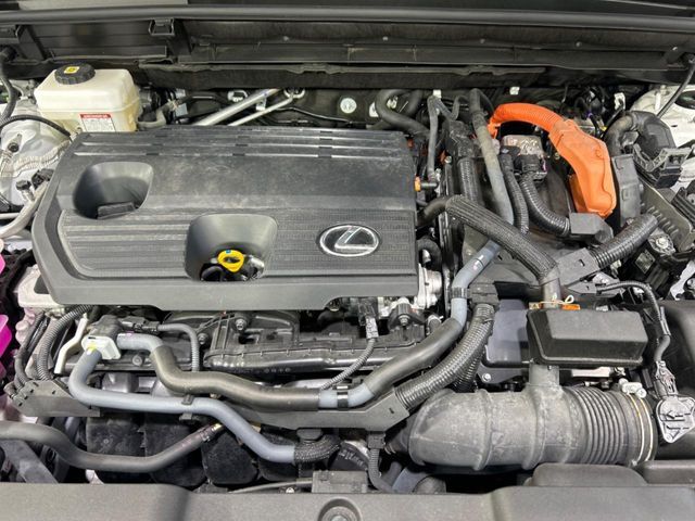 24161989