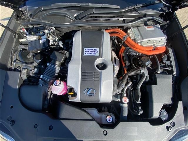 24166892