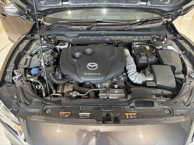24167672