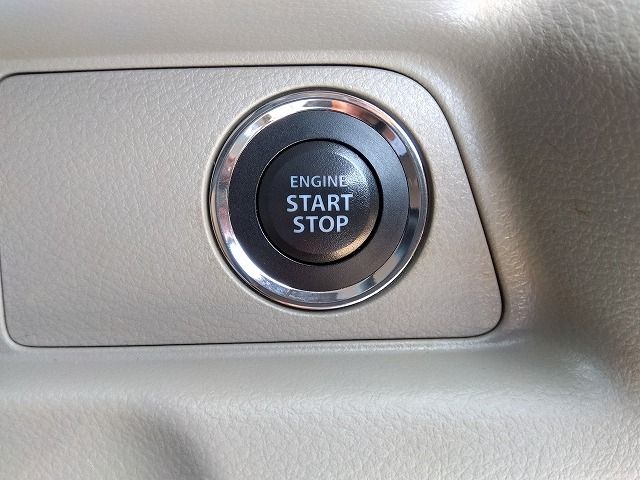 24250193