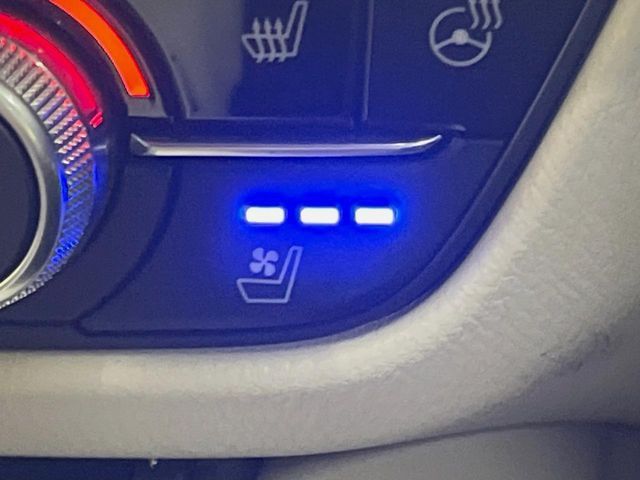 24260407