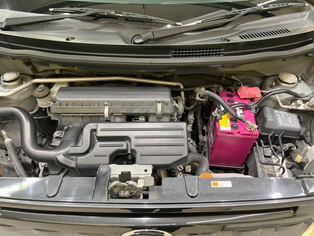 24261181