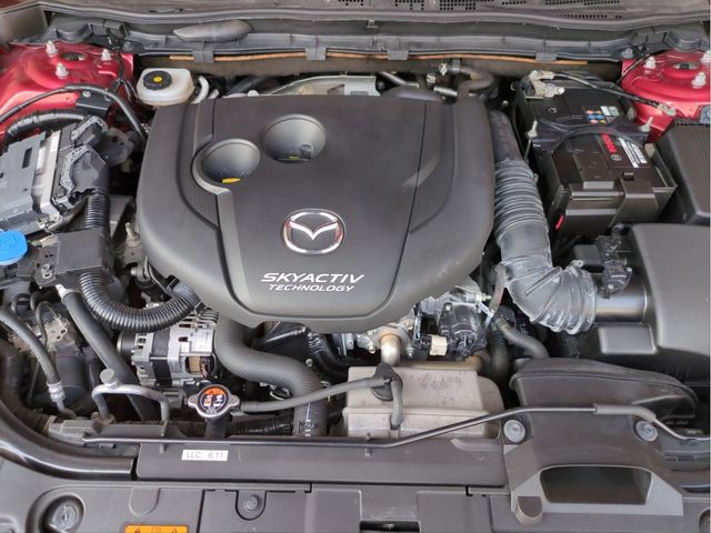 24300050