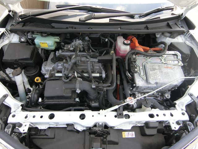 24365745
