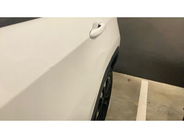 24365949