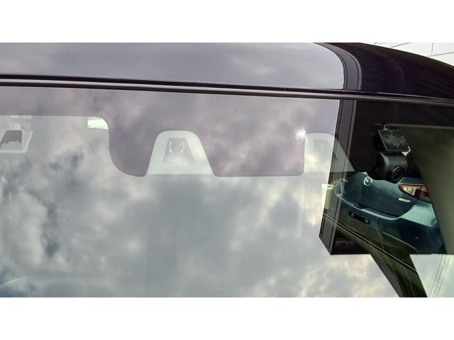 24450243