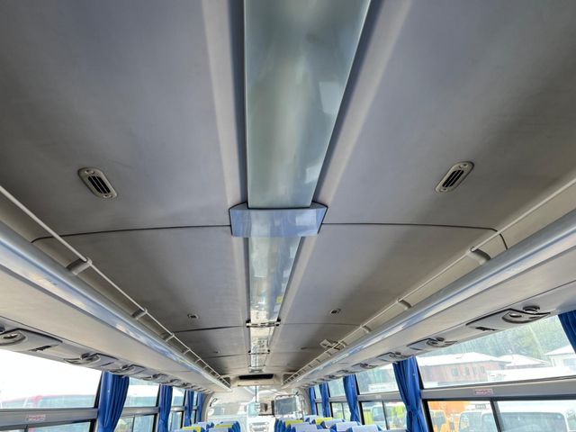24450258