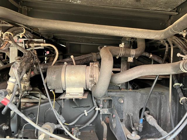 24450258