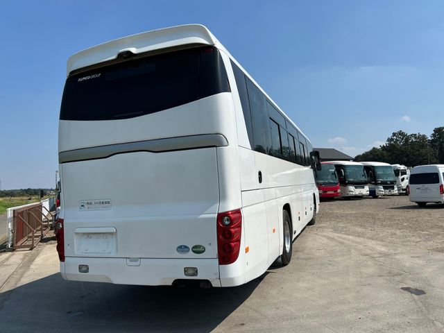 24450281