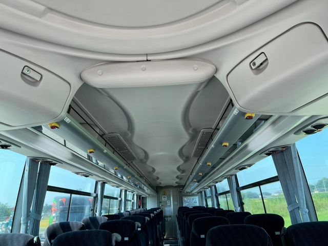 24450281
