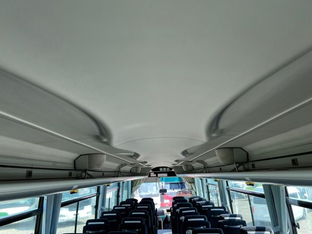 24450281