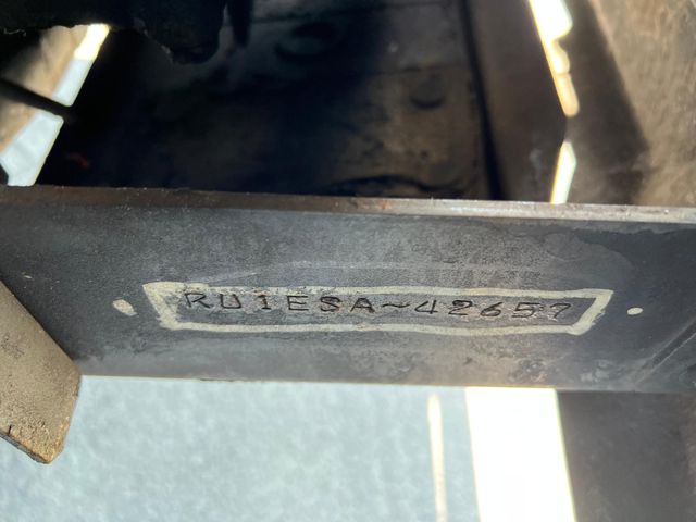 24450281