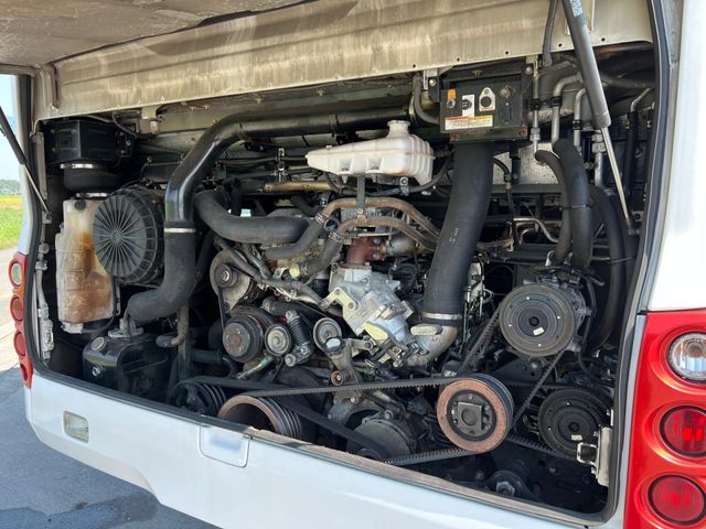 24450281