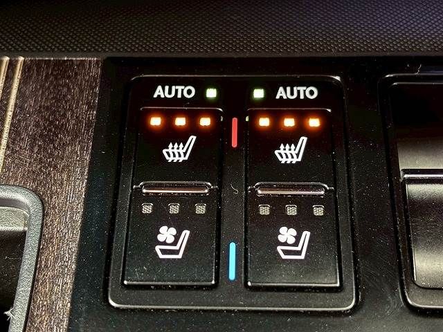 24460066