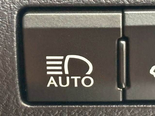 24460066