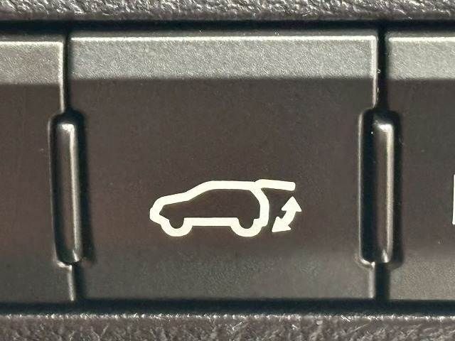 24460066