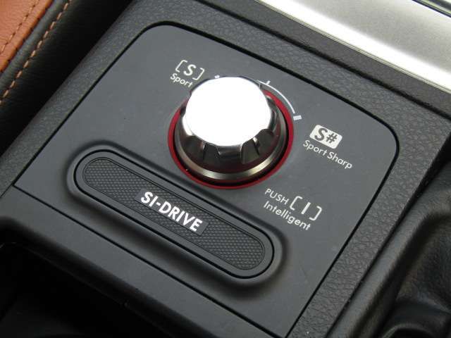 24460412