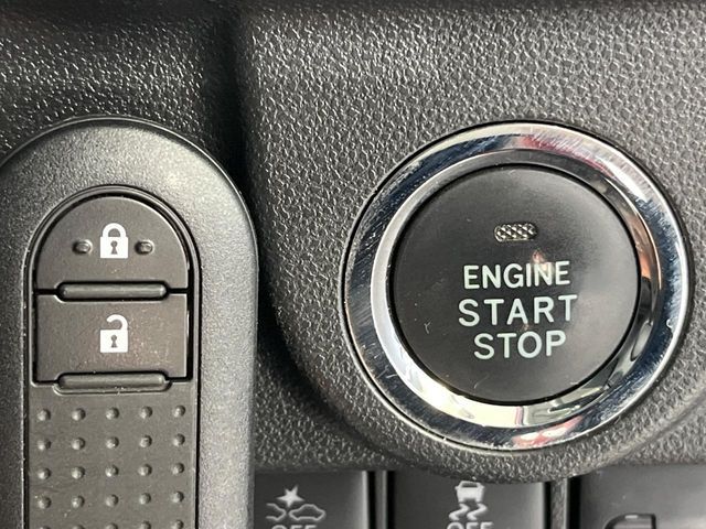 24460881