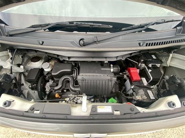 24466210