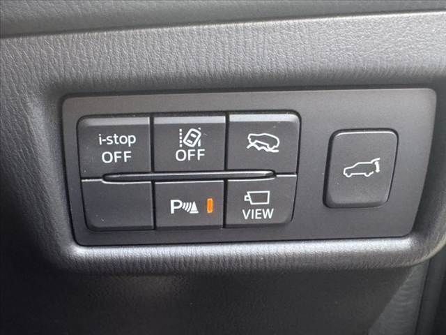 24466231