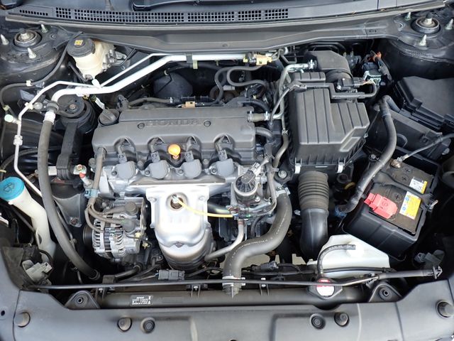 24520076